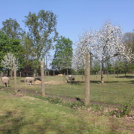 Bed and Breakfast Beej Potters Weert Exterior foto
