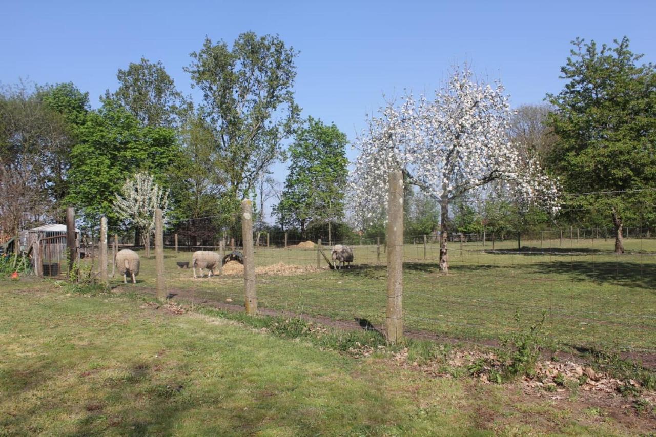 Bed and Breakfast Beej Potters Weert Exterior foto